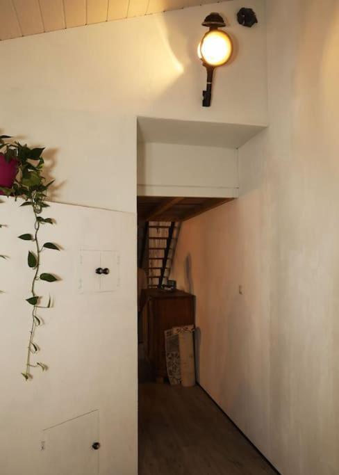 Domaine Ostau Montplaisant Ponlat-Taillebourg エクステリア 写真